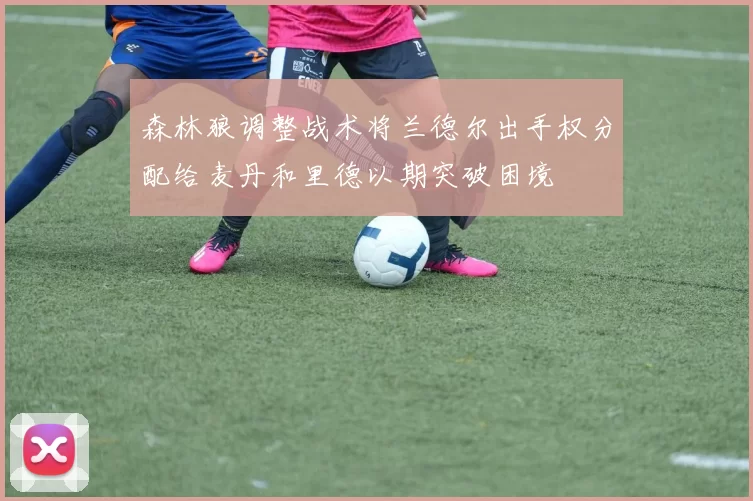 森林狼调整战术将兰德尔出手权分配给麦丹和里德以期突破困境